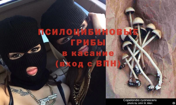 ешки Балабаново