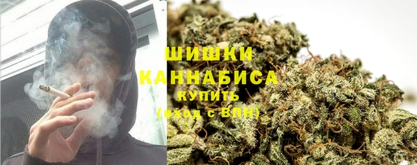 PSILOCYBIN Беломорск